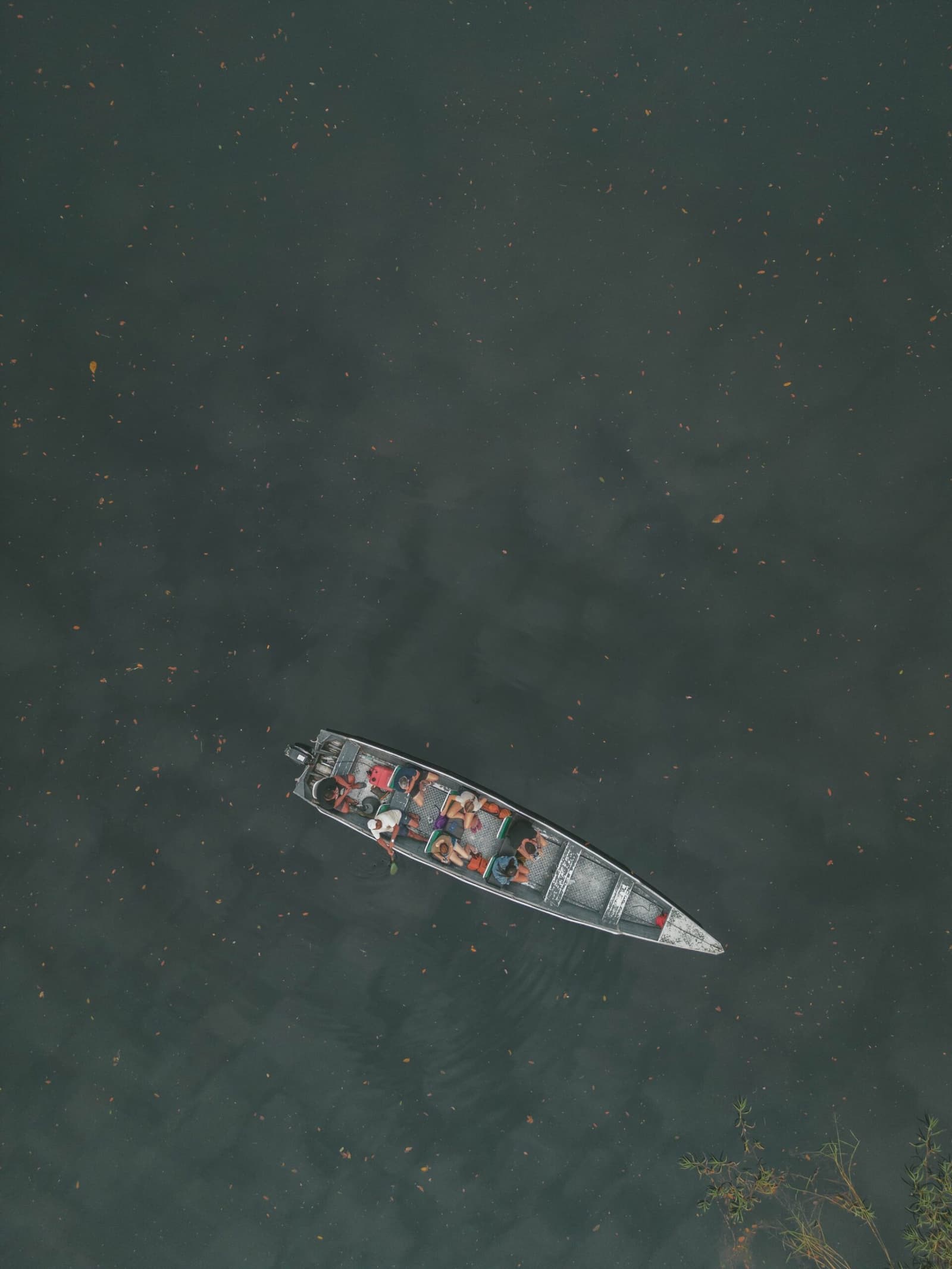 Small boat, vast river — the scale of Amazônia hits differently from above. Aerial top-down view of a narrow motorized canoe carrying a group of passengers across dark, leaf-speckled water on a manaus jungle tour