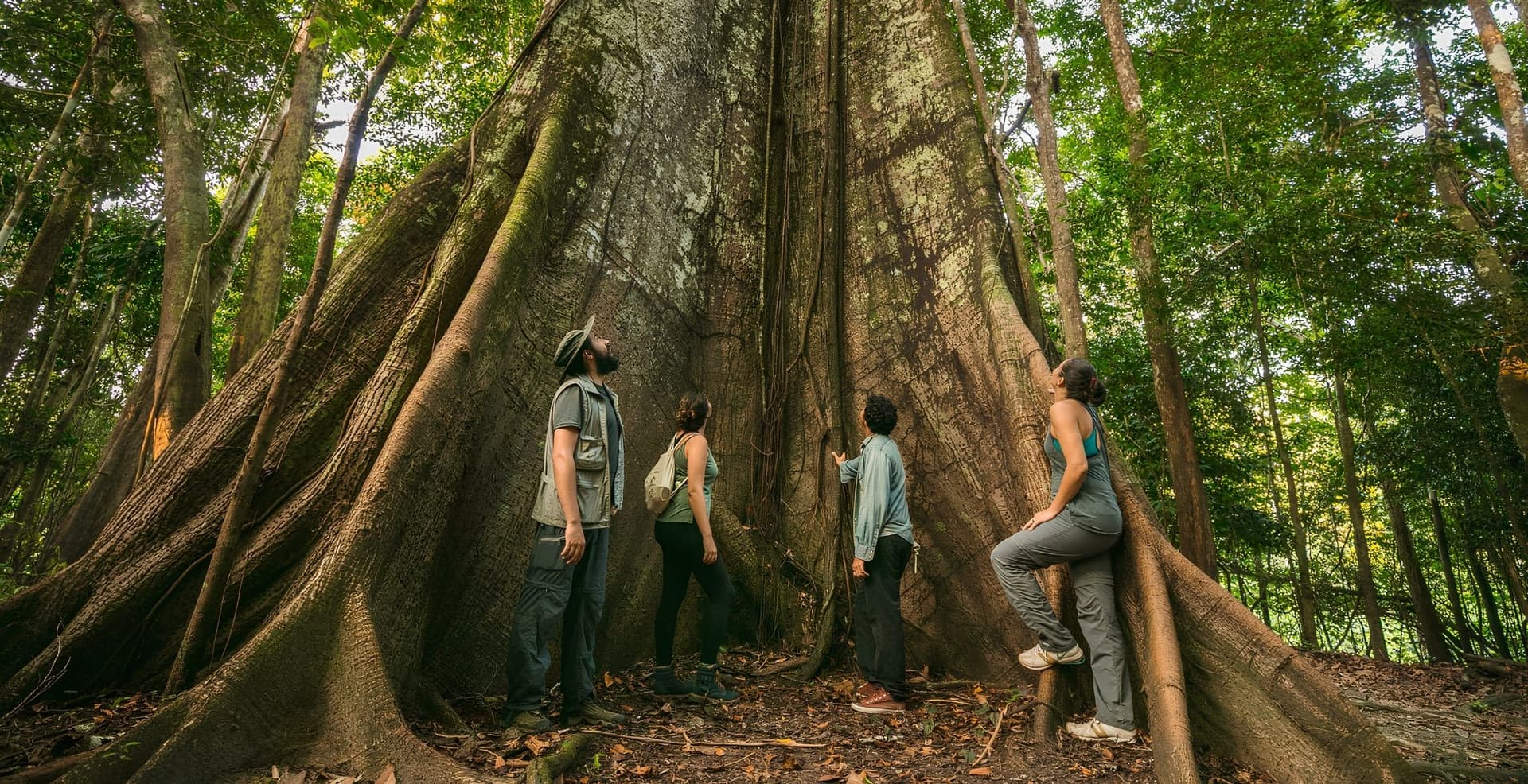 3-daagse Amazone-jungletour vanuit Manaus, Brazilië 3-daagse Amazone-jungletour vanuit Manaus, Brazilië