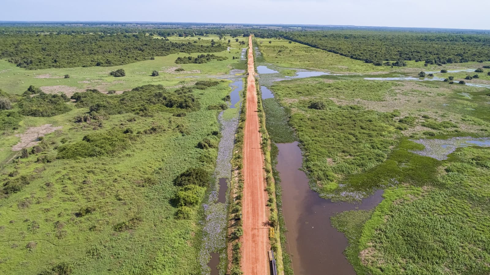Ruler-straight across a flooded world — the Transpantaneira cuts through the wetlands on the way to Porto Jofre. Photo: Uwe-Bergwitz Photo 1