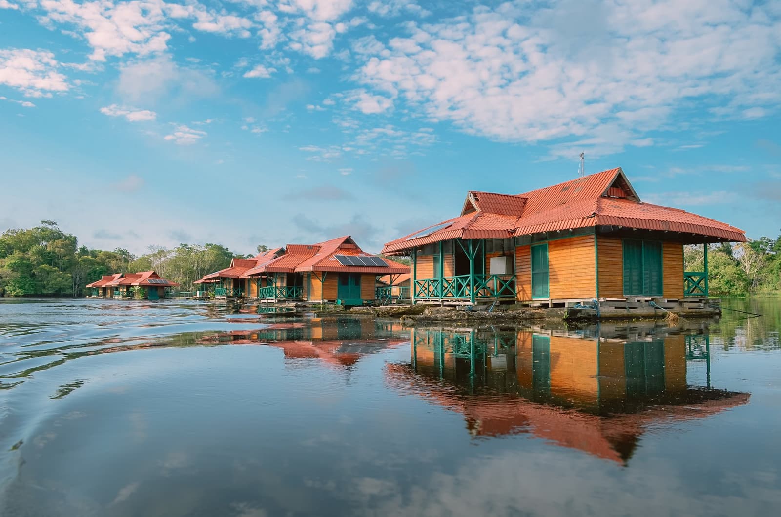 Je slaapkamer voor de komende nachten, en hij drijft gewoon. Een rij op zonne-energie werkende houten hutten met rode daken drijft op een rustige rivier tijdens een amazon rainforest ecolodge trip in Brazilië, hun warme houten gevels weerspiegeld in het donkere stille water, met dicht groen bos langs de oever onder een blauwe hemel