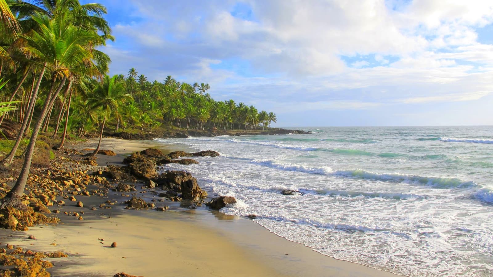 Sem multidão, sem pegadas, só o Atlântico decidindo a hora. Photo: Picasa Uma praia selvagem com pedras e coqueiros inclinados, ondas turquesa quebrando ao longo da costa sob um céu parcialmente nublado, típica das praias frequentadas pela escola de surf em Itacaré