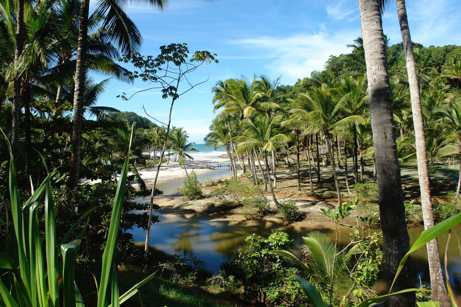 Mata, riacho, areia, mar, Itacaré não escolhe entre um e outro. Um pequeno riacho serpenteia por um bosque de coqueiros em direção a uma praia de areia branca na costa da escola de surf em Itacaré, com Mata Atlântica cobrindo as colinas ao fundo e as ondas azuis do oceano visíveis ao longe