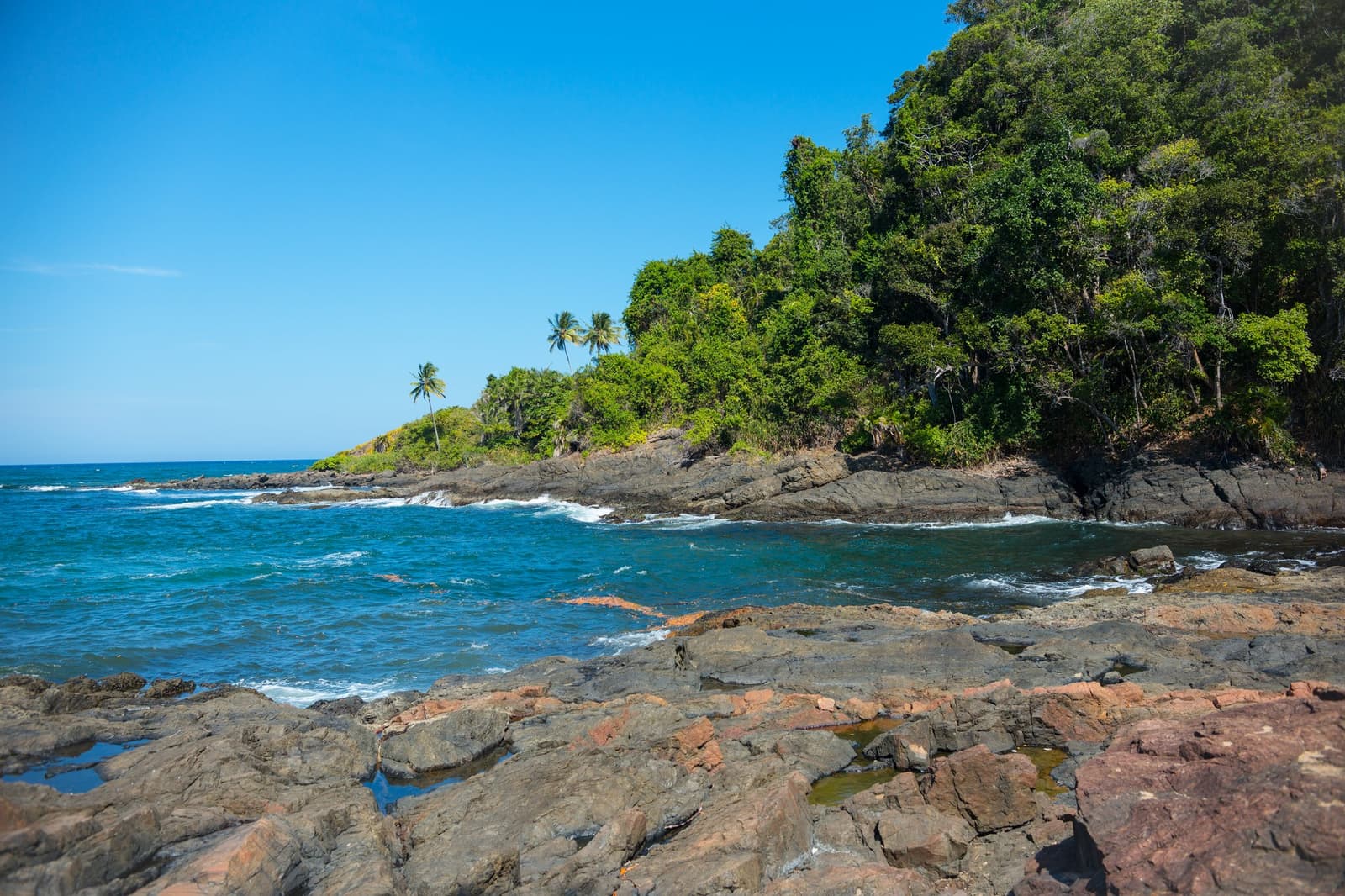 Pedra viva, água morna, mata até a beira, essa costa não abre mão de nada. Costão rochoso e enseada abrigada ao longo do litoral da escola de surf em Itacaré, com Mata Atlântica densa e palmeiras cobrindo um promontório sob céu azul claro