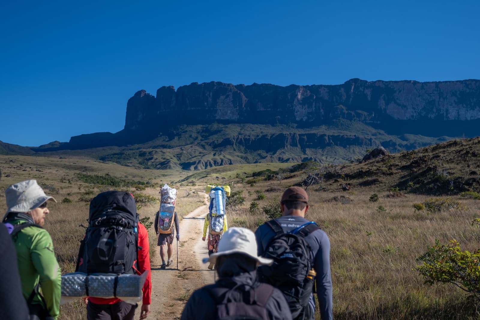 Rugzakken vol, tepui recht vooruit. Zo ziet een goed begin eruit. Een groep wandelaars met zware rugzakken loopt over een onverhard pad richting de imposante tafelberg van de Mount Roraima tijdens een Mount Roraima-expeditie, onder een diepblauwe lucht door de open savanne van de Gran Sabana