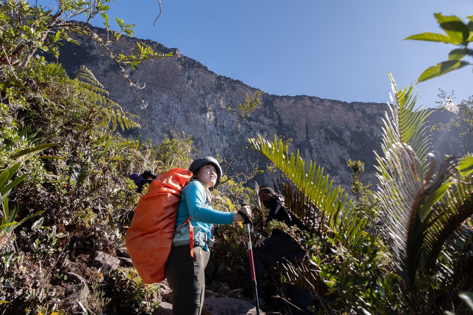 De eerste echte blik op de wand. Dat is het moment dat de omvang echt binnenkomt. Een wandelaar met een grote oranje rugzak en trekkingstok staat stil op het pad van de Mount Roraima-expeditie en kijkt omhoog naar de imposante zandsteen rotswand die boven de dichte tepui-vegetatie uittorent onder een strakblauwe hemel