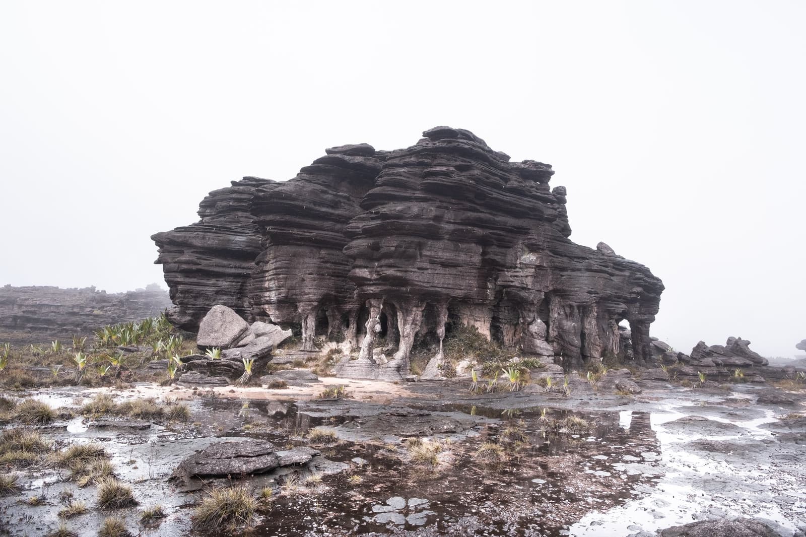 Twee miljard jaar geologie, en de mist is het er nog steeds niet mee eens. Een massieve gelaagde zandsteenformatie rijst op uit het waterrijke tepui-plateau tijdens een Mount Roraima-expeditie, omhuld door mist, plassen en schaarse endemische planten op het oeroude gesteente
