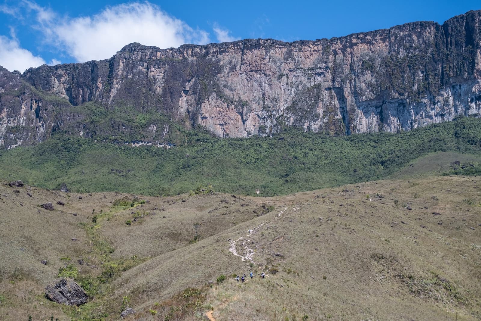 Kleine figuren, enorme wand. Pas als je benen het voelen, begrijpt de rest het ook. Een kleine groep trekkers volgt een smal kronkelpad door open grasland tijdens een mount roraima expeditie, met de imposante zandsteen rotswand van de tepui die de achtergrond vult onder een blauwe lucht