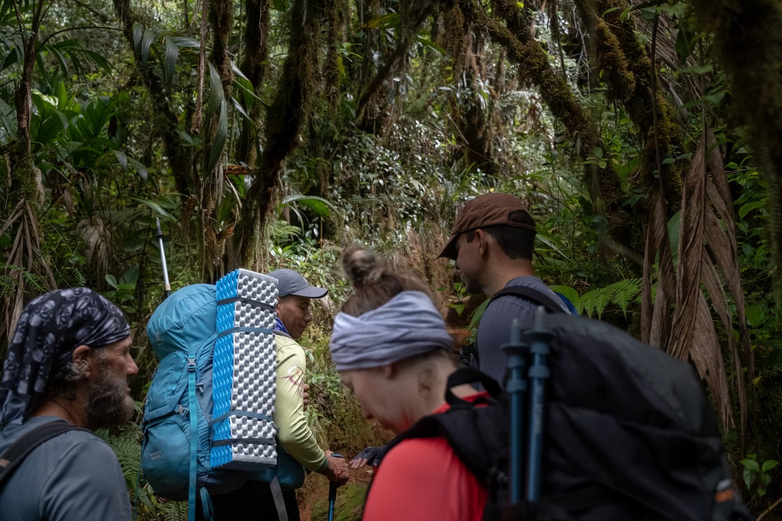 Halverwege het pad, halverwege een gedachte, het woud kiest altijd het perfecte moment om je te laten stoppen. Een groep van vier wandelaars met volgeladen rugzakken en trekkingstokken houdt halt op een smal pad tijdens een Mount Roraima-expeditie, omgeven door met mos begroeide bomen en dichte woudvegetatie