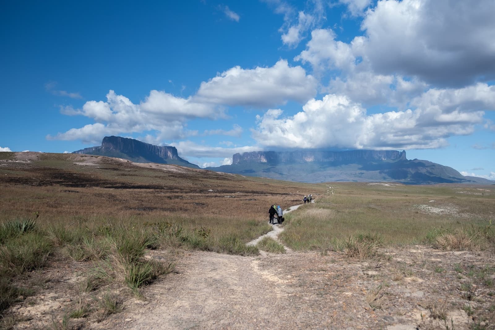 Kleine figuren, grote tepuis, de schaal dringt meteen tot je door. Een groep trekkers volgt een smal onverhard pad door het open grasland van de Gran Sabana tijdens een Mount Roraima-expeditie, met twee tafelbergen die scherp aftekenen tegen een blauwe lucht met grote witte wolken