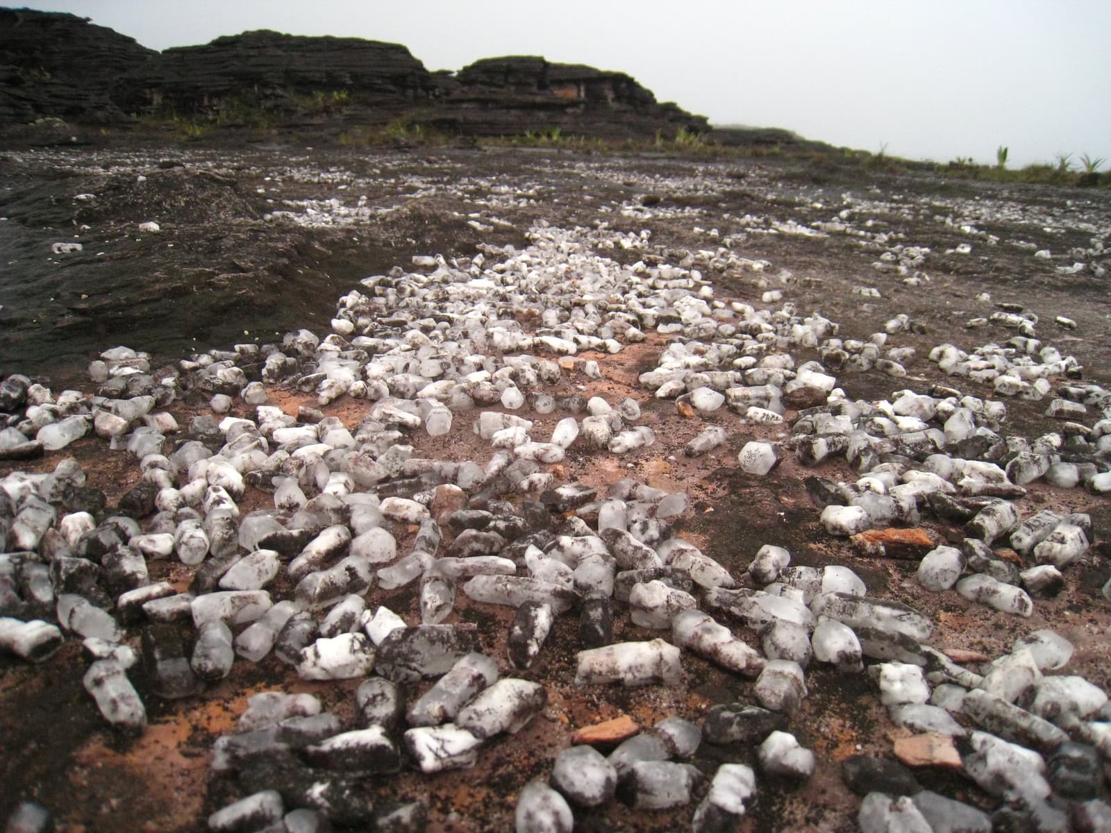 Kwarts zover je kijkt, en het ligt er al miljoenen jaren. Honderden witte kwartskristallen verspreid over een donker rotsachtig plateauoppervlak op de Mount Roraima-expeditie, met gelaagde zwarte rotsformaties en schaarse begroeiing op de mistige achtergrond