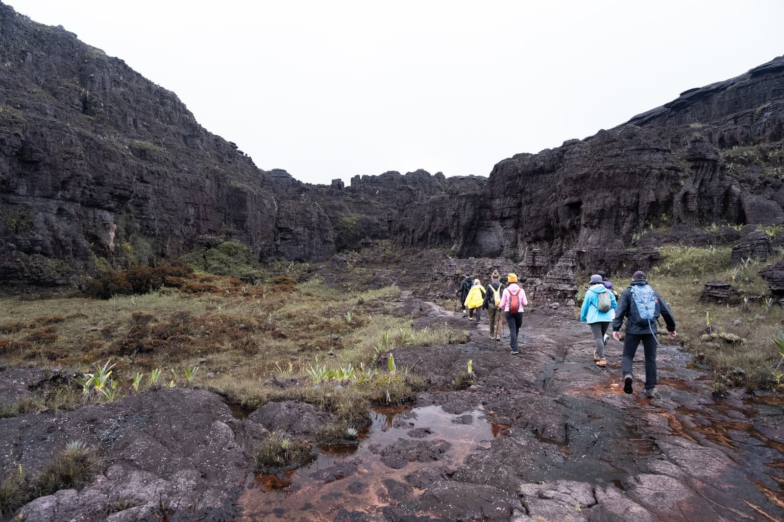 Regennat gesteente, felle jassen, en rotswanden die al hier stonden lang voor iemand eraan dacht ze te beklimmen. Een groep trekkers op een Mount Roraima-expeditie baant zich een weg over natte zwarte rotsplaten richting donkere canyon-wanden op het tepui-plateau, omgeven door lage endemische vegetatie en ondiepe plassen