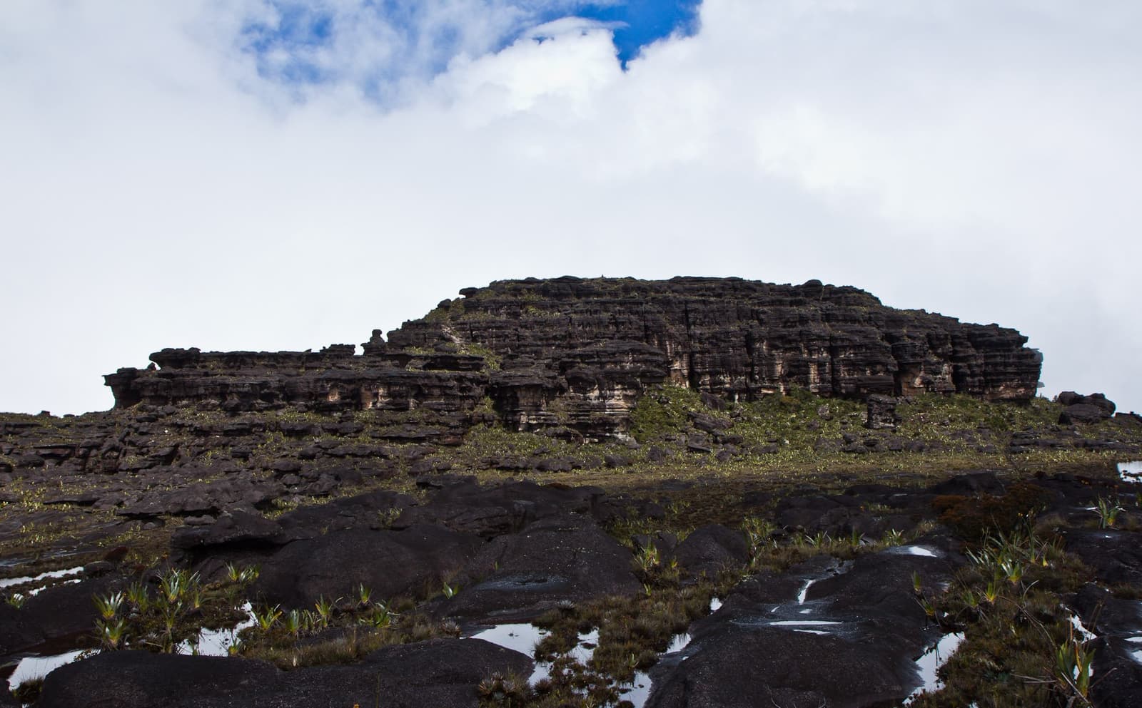 Twee miljard jaar geleden gevormd, en elk millimeter laat dat voelen. Kikkerperspectief op gelaagde donkere zandsteenkliffen op het plateau van de Mount Roraima-expeditie, met endemische planten in regenplassen op zwarte rots op de voorgrond en een deels bewolkte lucht