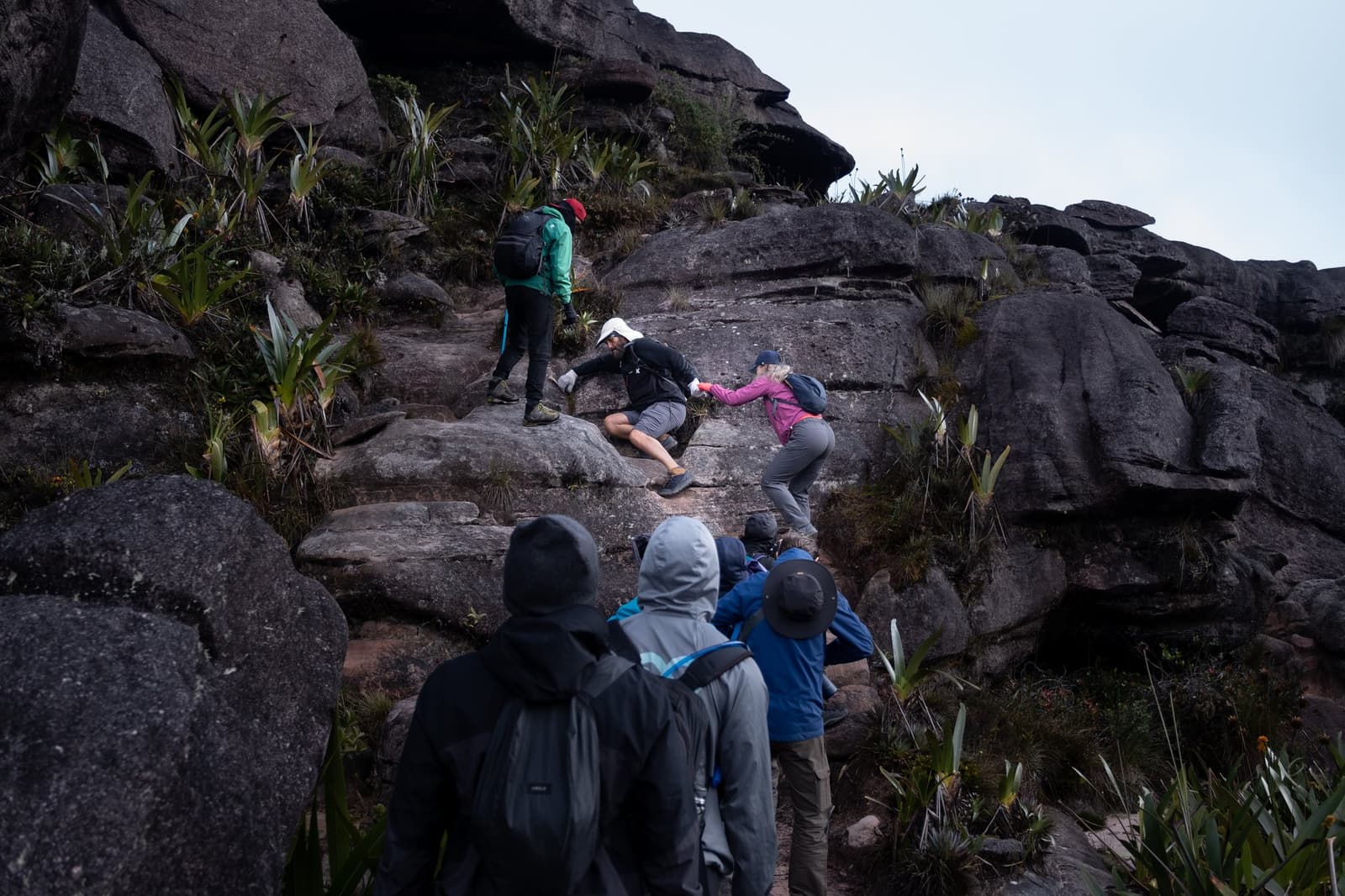 Geen trap, geen leuning, gewoon elkaars handen. Een groep trekkers bij een Mount Roraima-expeditie klimt over een steile, gelaagde granieten rotswand omgeven door bromeliagewassen, terwijl één wandelaar een ander helpt bij een lastige stap
