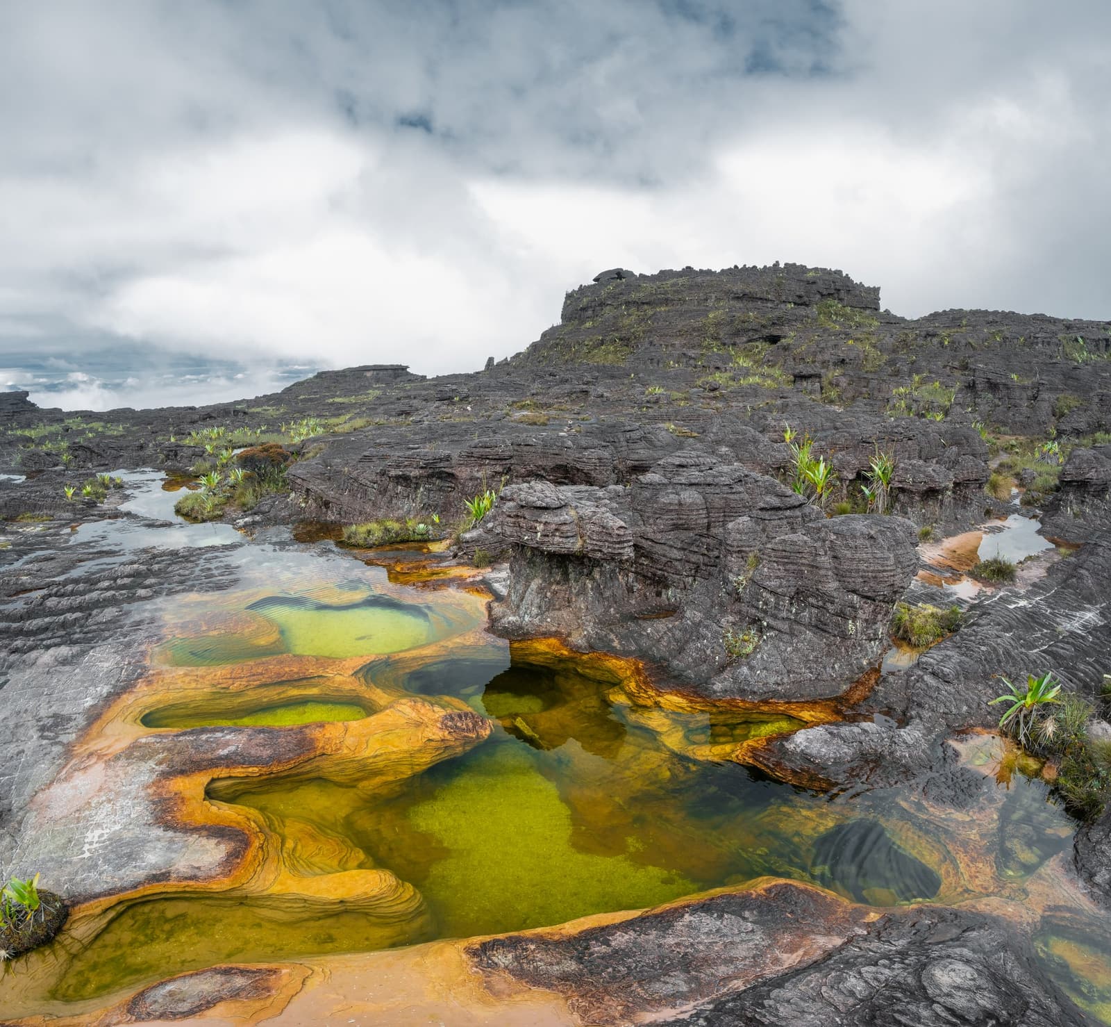 Geologie als abstracte kunst, gewoon onder je zolen. Natuurlijke rotspoelen met levendig groen en amberkleurig water op het oeroude zandsteinplateau van de Mount Roraima-expeditie, met verweerde zwarte tepui-rotsen en lage wolken op de achtergrond