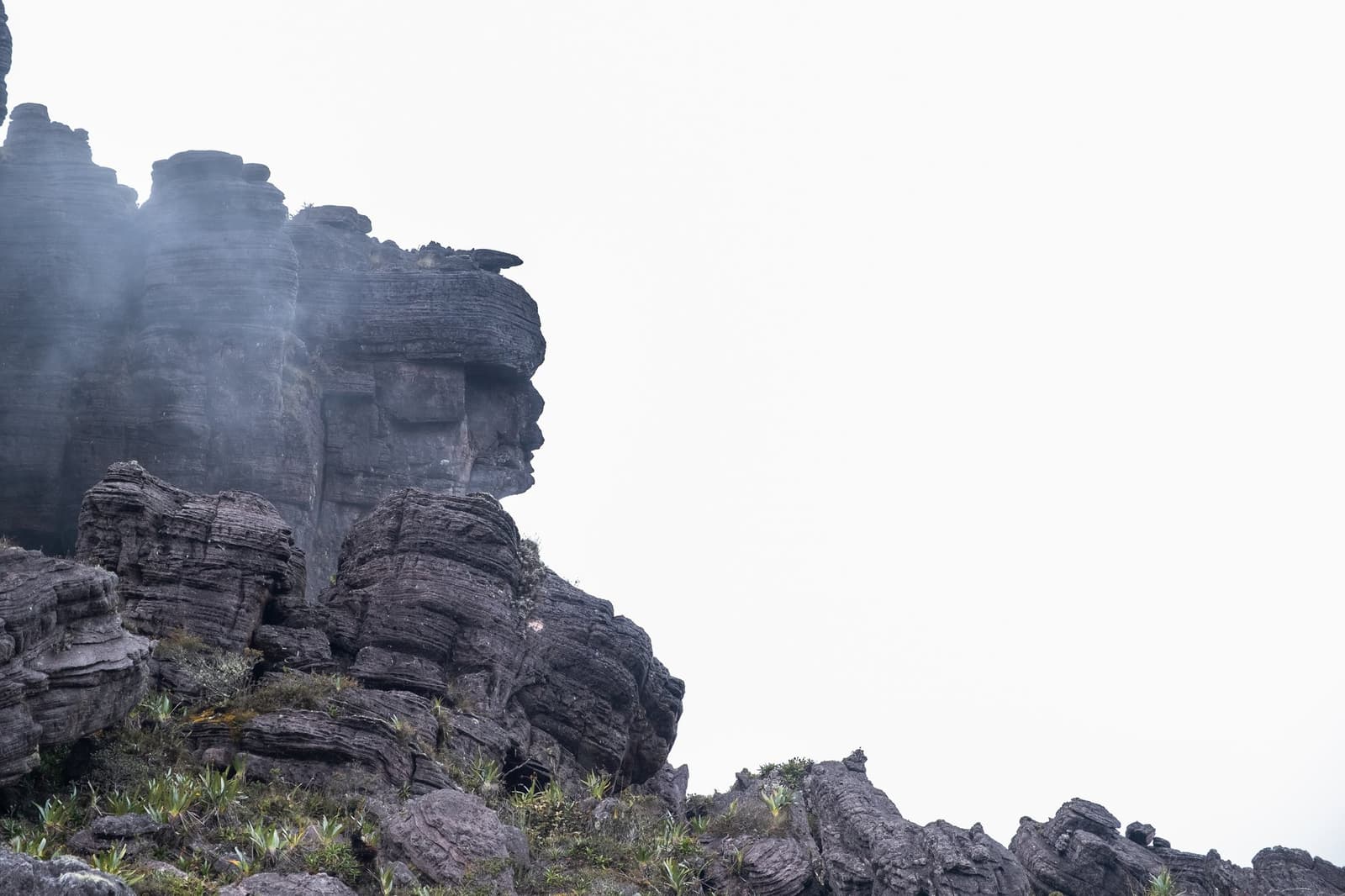 Rots, mist en stilte, dit landschap trekt zich niets aan van haast. Gelaagde oeroude zandsteenformaties tijdens de Mount Roraima-expeditie, met mist die tussen de rotskolommen drijft en schaarse hooglandvegetatie aan de voet