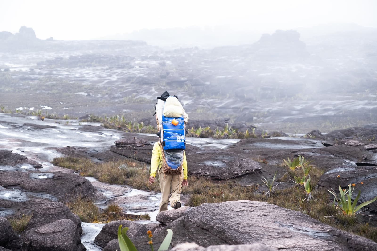 Op het plateau dicteert de drager het tempo, niet het horloge. Een drager met een grote blauwe rugzak en een gevlochten mand loopt over het natte, donkere rotsplateau van Mount Roraima tijdens een mount roraima expeditie, met bromeliaachtige planten en dichte mist die de verre rotsformaties aan het zicht onttrekt